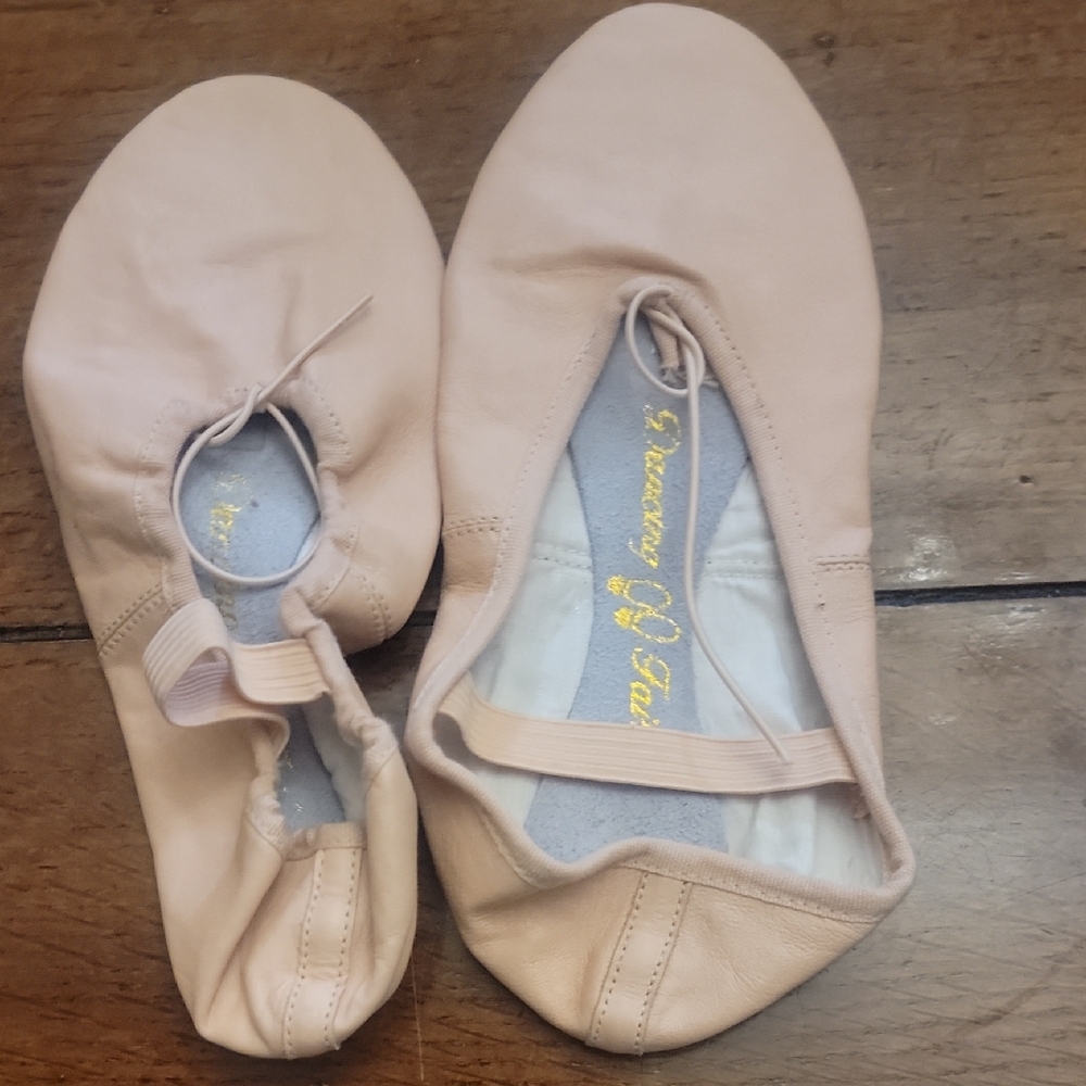 Pink Ballet Slippers